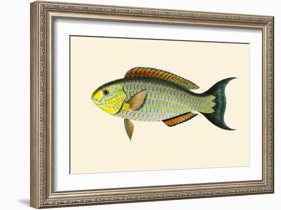 Laboo-Girawah-John Whitchurch Bennett-Framed Art Print