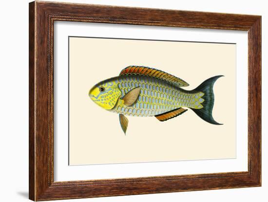 Laboo-Girawah-John Whitchurch Bennett-Framed Art Print