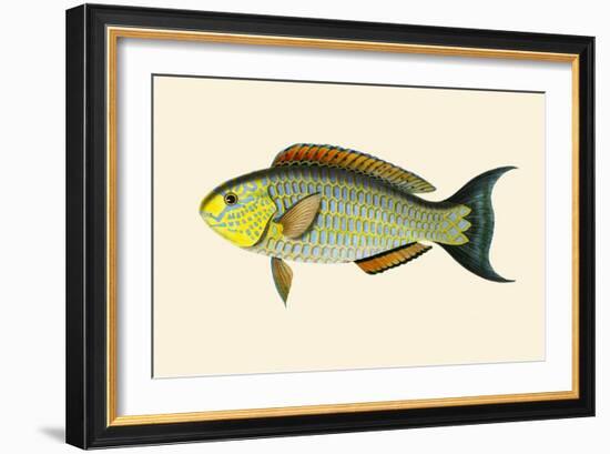 Laboo-Girawah-John Whitchurch Bennett-Framed Art Print