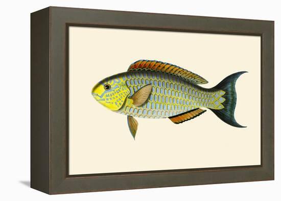 Laboo-Girawah-John Whitchurch Bennett-Framed Stretched Canvas