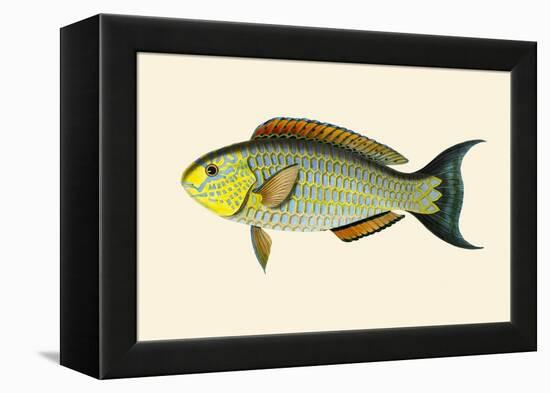 Laboo-Girawah-John Whitchurch Bennett-Framed Stretched Canvas