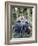 Labor Activist Cesar Chavez Talking in Field with Grape Pickers of United Farm Workers Union-Arthur Schatz-Framed Premium Photographic Print