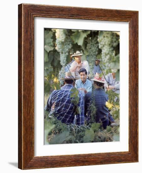 Labor Activist Cesar Chavez Talking in Field with Grape Pickers of United Farm Workers Union-Arthur Schatz-Framed Premium Photographic Print