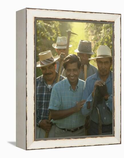 Labor Activist Cesar Chavez Talking in Field with Grape Pickers of United Farm Workers Union-Arthur Schatz-Framed Premier Image Canvas