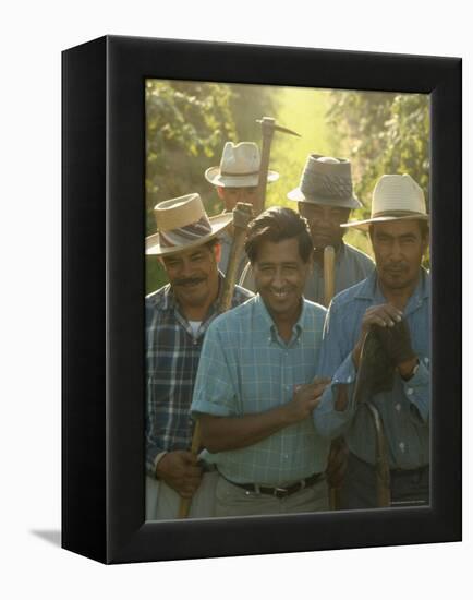 Labor Activist Cesar Chavez Talking in Field with Grape Pickers of United Farm Workers Union-Arthur Schatz-Framed Premier Image Canvas