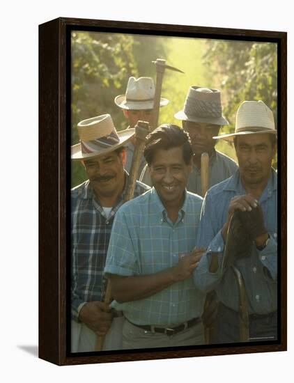 Labor Activist Cesar Chavez Talking in Field with Grape Pickers of United Farm Workers Union-Arthur Schatz-Framed Premier Image Canvas