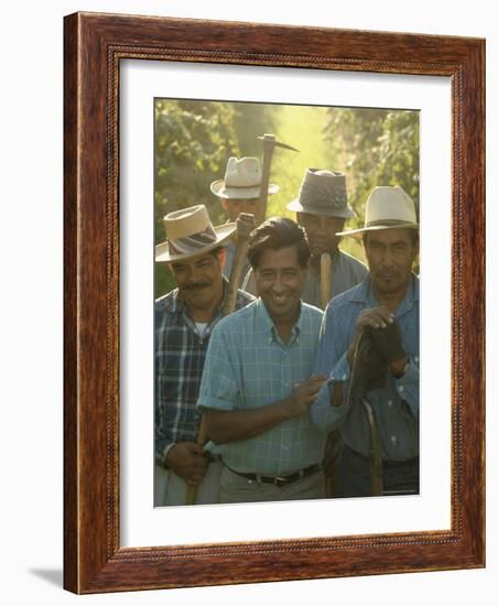 Labor Activist Cesar Chavez Talking in Field with Grape Pickers of United Farm Workers Union-Arthur Schatz-Framed Premium Photographic Print