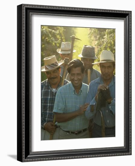 Labor Activist Cesar Chavez Talking in Field with Grape Pickers of United Farm Workers Union-Arthur Schatz-Framed Premium Photographic Print