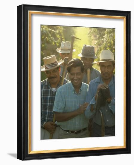 Labor Activist Cesar Chavez Talking in Field with Grape Pickers of United Farm Workers Union-Arthur Schatz-Framed Premium Photographic Print