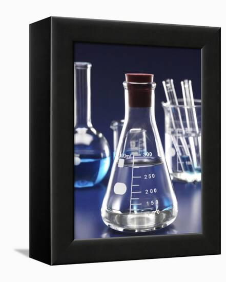 Laboratory equipments-null-Framed Premier Image Canvas