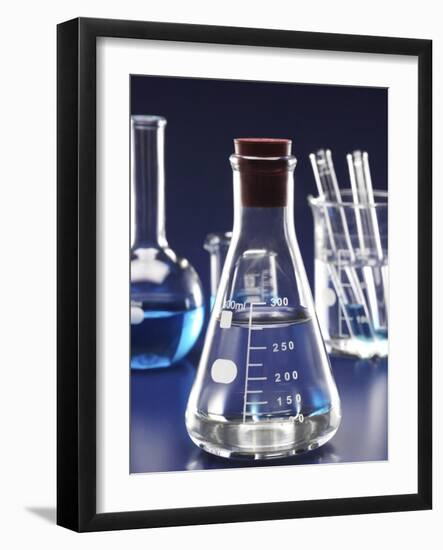 Laboratory equipments-null-Framed Photographic Print