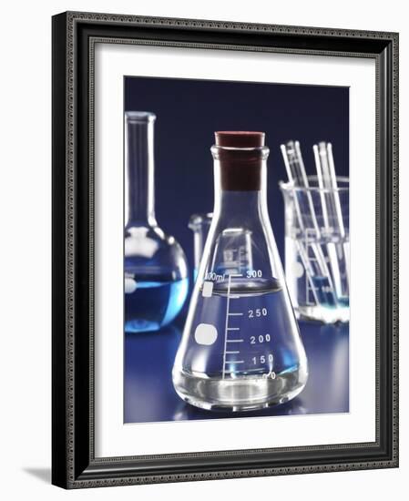 Laboratory equipments-null-Framed Photographic Print