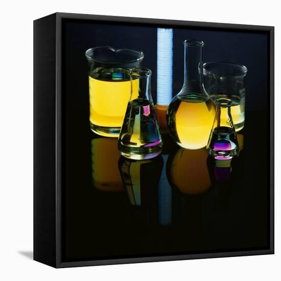 Laboratory Flasks and Beakers Filled with Liquid-James L. Amos-Framed Premier Image Canvas