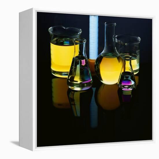 Laboratory Flasks and Beakers Filled with Liquid-James L. Amos-Framed Premier Image Canvas