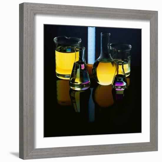 Laboratory Flasks and Beakers Filled with Liquid-James L. Amos-Framed Photographic Print