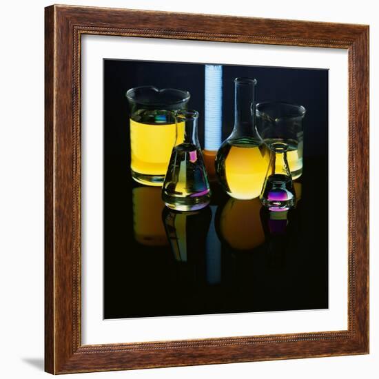 Laboratory Flasks and Beakers Filled with Liquid-James L. Amos-Framed Photographic Print