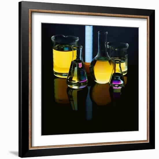 Laboratory Flasks and Beakers Filled with Liquid-James L. Amos-Framed Photographic Print