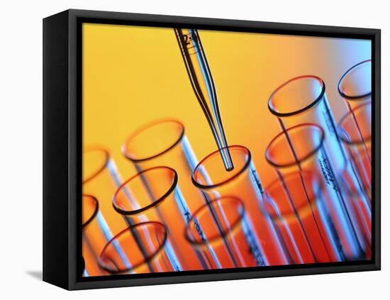 Laboratory Glassware-Tek Image-Framed Premier Image Canvas