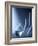 Laboratory Glassware-Tek Image-Framed Photographic Print