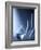 Laboratory Glassware-Tek Image-Framed Photographic Print