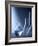 Laboratory Glassware-Tek Image-Framed Photographic Print