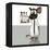 Laboratory Mouse, Conceptual Artwork-Friedrich Saurer-Framed Premier Image Canvas