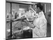 Premium Photographic Print