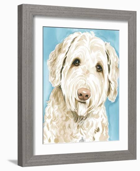 Labradoodle I-Grace Popp-Framed Art Print