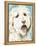 Labradoodle II-Grace Popp-Framed Stretched Canvas