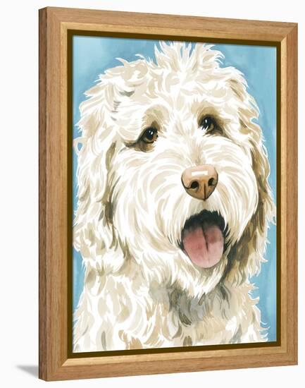 Labradoodle II-Grace Popp-Framed Stretched Canvas