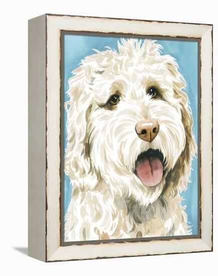Labradoodle II-Grace Popp-Framed Stretched Canvas