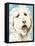 Labradoodle II-Grace Popp-Framed Stretched Canvas