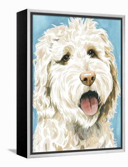 Labradoodle II-Grace Popp-Framed Stretched Canvas