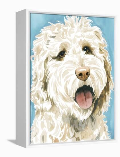 Labradoodle II-Grace Popp-Framed Stretched Canvas