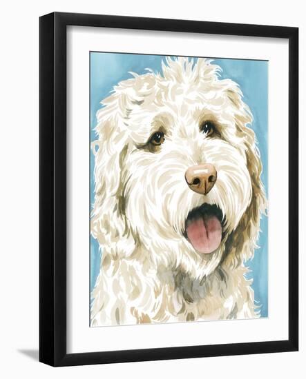 Labradoodle II-Grace Popp-Framed Art Print