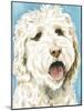 Labradoodle II-Grace Popp-Mounted Art Print