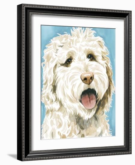 Labradoodle II-Grace Popp-Framed Art Print