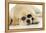 Labrador (8 Week Old Pup) with Round Sunglasses-null-Framed Premier Image Canvas