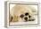 Labrador (8 Week Old Pup) with Round Sunglasses-null-Framed Premier Image Canvas