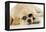 Labrador (8 Week Old Pup) with Round Sunglasses-null-Framed Premier Image Canvas