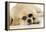 Labrador (8 Week Old Pup) with Round Sunglasses-null-Framed Premier Image Canvas