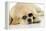 Labrador (8 Week Old Pup) with Round Sunglasses-null-Framed Premier Image Canvas