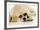 Labrador (8 Week Old Pup) with Round Sunglasses-null-Framed Photographic Print