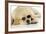 Labrador (8 Week Old Pup) with Round Sunglasses-null-Framed Photographic Print