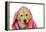 Labrador (8 Week Old Pup) with Towel-null-Framed Premier Image Canvas