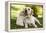 Labrador Adult with Puppy-null-Framed Premier Image Canvas