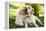 Labrador Adult with Puppy-null-Framed Premier Image Canvas