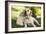 Labrador Adult with Puppy-null-Framed Photographic Print