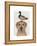 Labrador and Duck-Fab Funky-Framed Stretched Canvas