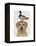 Labrador and Duck-Fab Funky-Framed Stretched Canvas